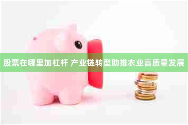股票在哪里加杠杆 产业链转型助推农业高质量发展