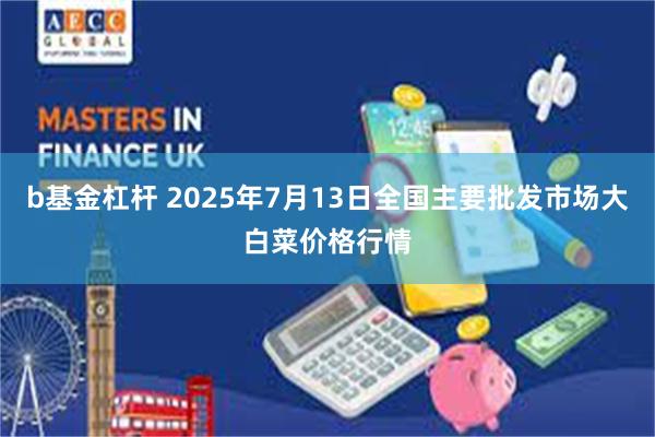 b基金杠杆 2025年7月13日全国主要批发市场大白菜价格行情