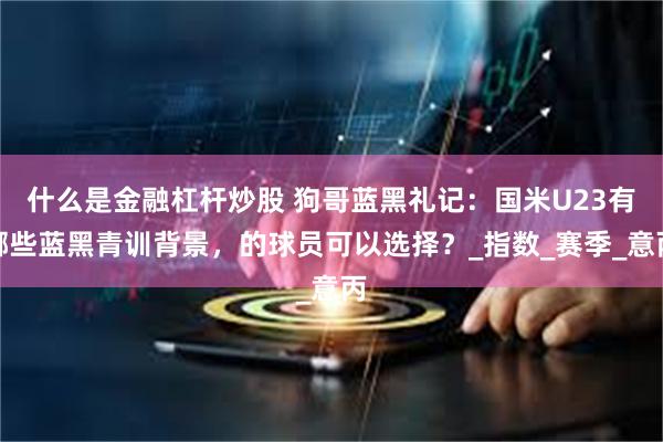 什么是金融杠杆炒股 狗哥蓝黑礼记：国米U23有哪些蓝黑青训背景，的球员可以选择？_指数_赛季_意丙