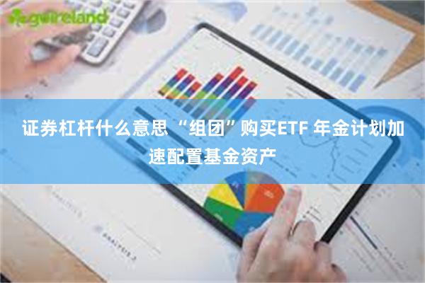 证券杠杆什么意思 “组团”购买ETF 年金计划加速配置基金资产