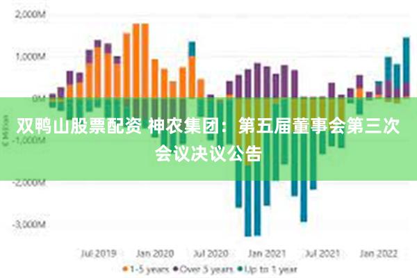 双鸭山股票配资 神农集团：第五届董事会第三次会议决议公告