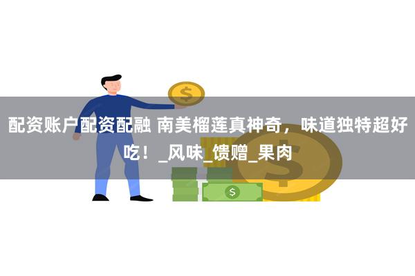 配资账户配资配融 南美榴莲真神奇，味道独特超好吃！_风味_馈赠_果肉