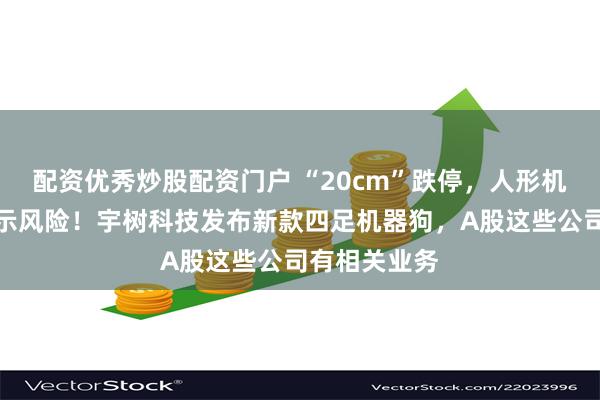配资优秀炒股配资门户 “20cm”跌停，人形机器人龙头提示风险！宇树科技发布新款四足机器狗，A股这些公司有相关业务