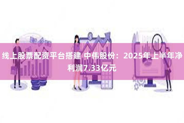 线上股票配资平台搭建 中伟股份：2025年上半年净利润7.33亿元