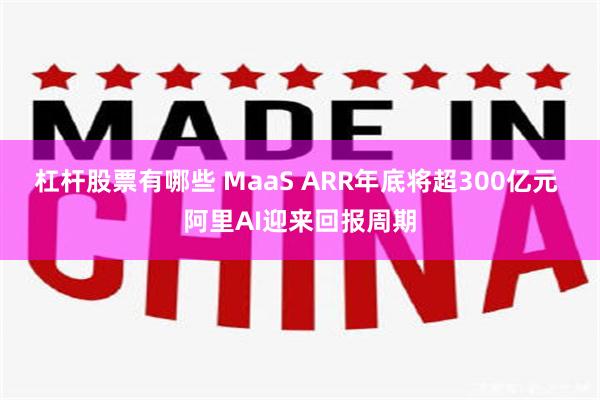 杠杆股票有哪些 MaaS ARR年底将超300亿元 阿里AI迎来回报周期