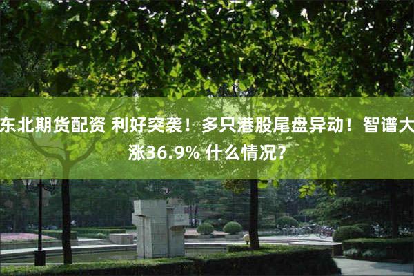 东北期货配资 利好突袭！多只港股尾盘异动！智谱大涨36.9% 什么情况？
