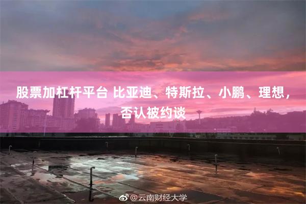 股票加杠杆平台 比亚迪、特斯拉、小鹏、理想，否认被约谈
