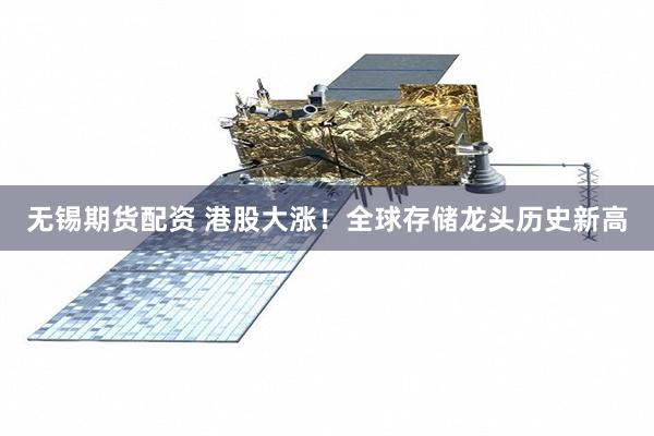 无锡期货配资 港股大涨！全球存储龙头历史新高
