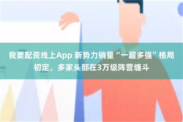 我要配资线上App 新势力销量“一超多强”格局初定，多家头部在3万级阵营缠斗