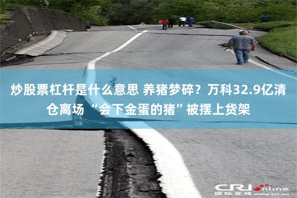 炒股票杠杆是什么意思 养猪梦碎？万科32.9亿清仓离场 “会下金蛋的猪”被摆上货架