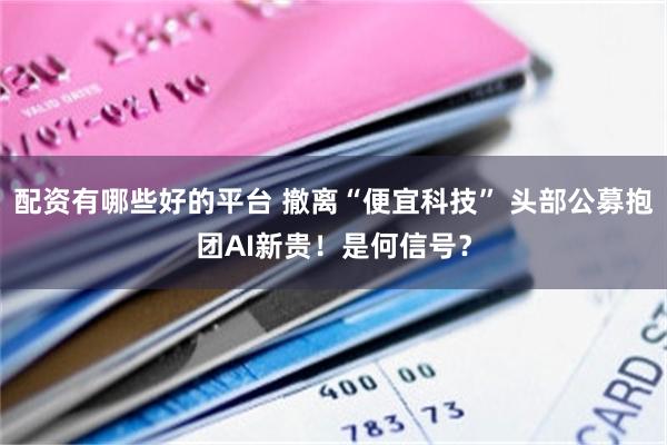 配资有哪些好的平台 撤离“便宜科技” 头部公募抱团AI新贵！是何信号？