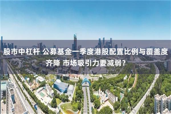 股市中杠杆 公募基金一季度港股配置比例与覆盖度齐降 市场吸引力要减弱？