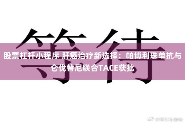 股票杠杆小程序 肝癌治疗新选择：帕博利珠单抗与仑伐替尼联合TACE获批