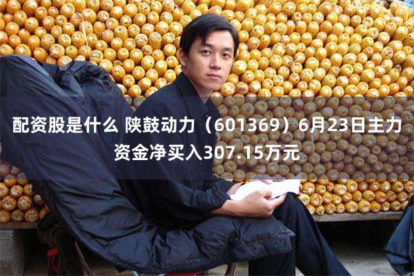 配资股是什么 陕鼓动力（601369）6月23日主力资金净买入307.15万元