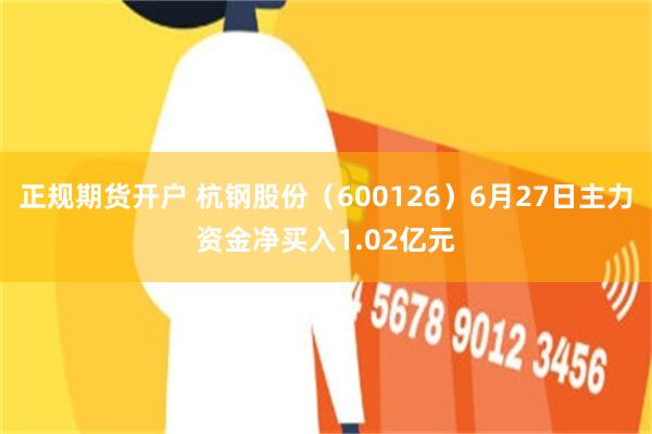 正规期货开户 杭钢股份（600126）6月27日主力资金净买入1.02亿元