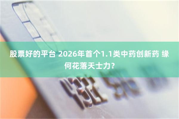 股票好的平台 2026年首个1.1类中药创新药 缘何花落天士力？