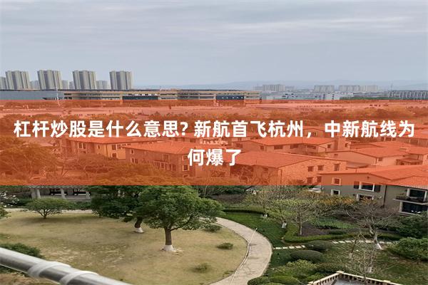 杠杆炒股是什么意思? 新航首飞杭州，中新航线为何爆了