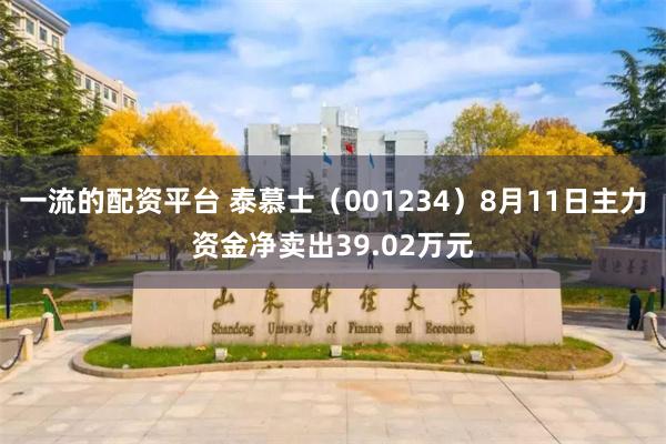 一流的配资平台 泰慕士（001234）8月11日主力资金净卖出39.02万元
