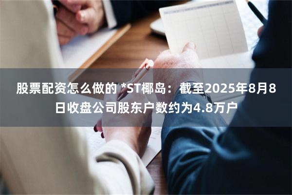 股票配资怎么做的 *ST椰岛：截至2025年8月8日收盘公司股东户数约为4.8万户