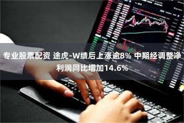 专业股票配资 途虎-W绩后上涨逾8% 中期经调整净利润同比增加14.6%