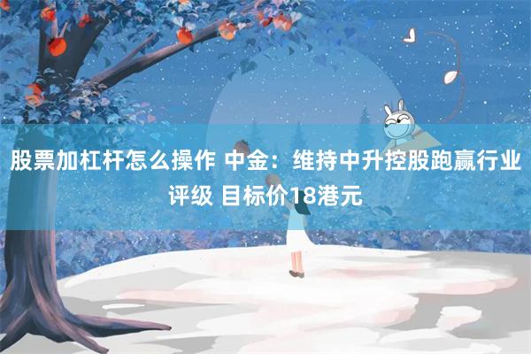 股票加杠杆怎么操作 中金：维持中升控股跑赢行业评级 目标价18港元
