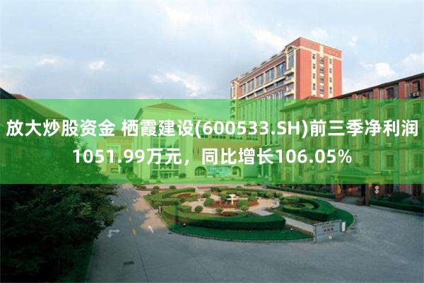 放大炒股资金 栖霞建设(600533.SH)前三季净利润1051.99万元，同比增长106.05%