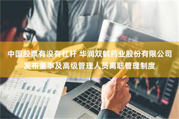 中国股票有没有杠杆 华润双鹤药业股份有限公司发布董事及高级管理人员离职管理制度