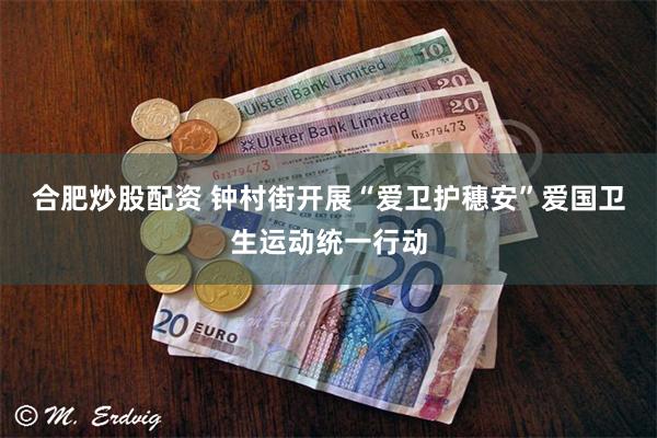 合肥炒股配资 钟村街开展“爱卫护穗安”爱国卫生运动统一行动