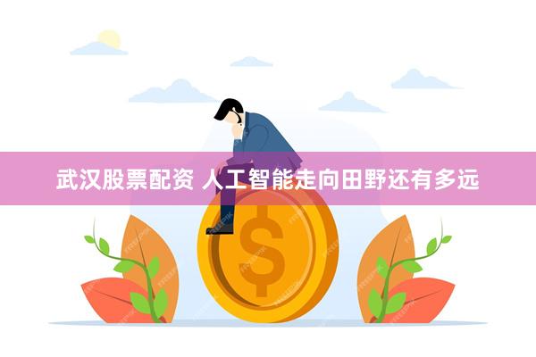 武汉股票配资 人工智能走向田野还有多远