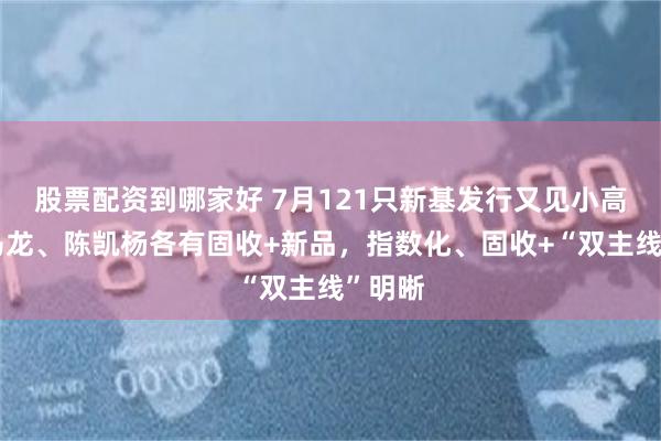 股票配资到哪家好 7月121只新基发行又见小高峰！马龙、陈凯杨各有固收+新品，指数化、固收+“双主线”明晰