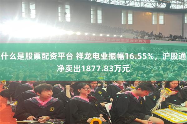 什么是股票配资平台 祥龙电业振幅16.55%,沪股通净卖出1877.83万元