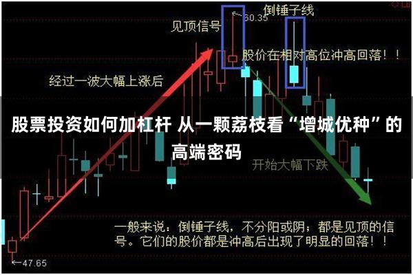 股票投资如何加杠杆 从一颗荔枝看“增城优种”的高端密码