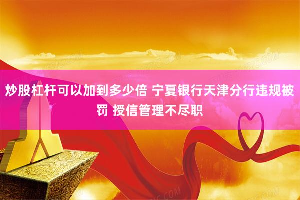 炒股杠杆可以加到多少倍 宁夏银行天津分行违规被罚 授信管理不尽职