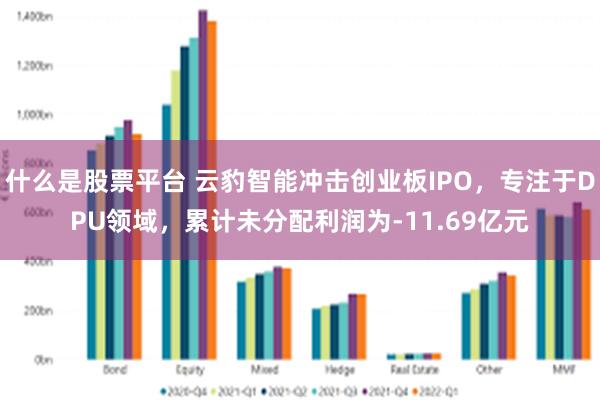 什么是股票平台 云豹智能冲击创业板IPO,专注于DPU领域,累计未分配利润为-11.69亿元