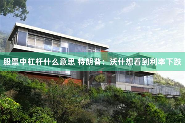 股票中杠杆什么意思 特朗普：沃什想看到利率下跌