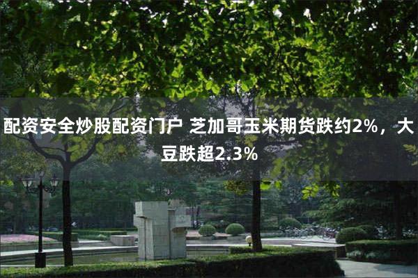 配资安全炒股配资门户 芝加哥玉米期货跌约2%，大豆跌超2.3%