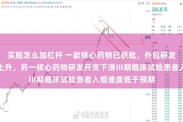 买股怎么加杠杆 一款核心药物已获批，外包研发成本及占比大幅上升，另一核心药物研发开支下滑Ⅲ期临床试验患者入组速度低于预期