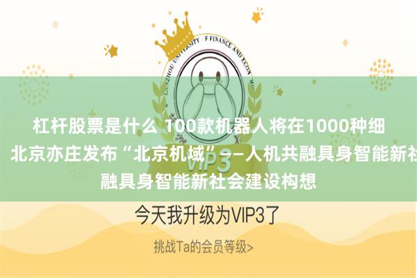 杠杆股票是什么 100款机器人将在1000种细分领域应用，北京亦庄发布“北京机域”——人机共融具身智能新社会建设构想
