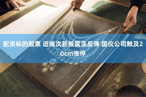 配资标的股票 近端次新股震荡反弹 国仪公司触及20cm涨停