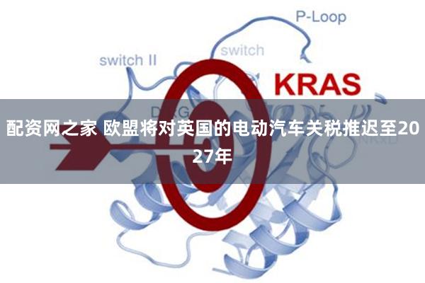 配资网之家 欧盟将对英国的电动汽车关税推迟至2027年