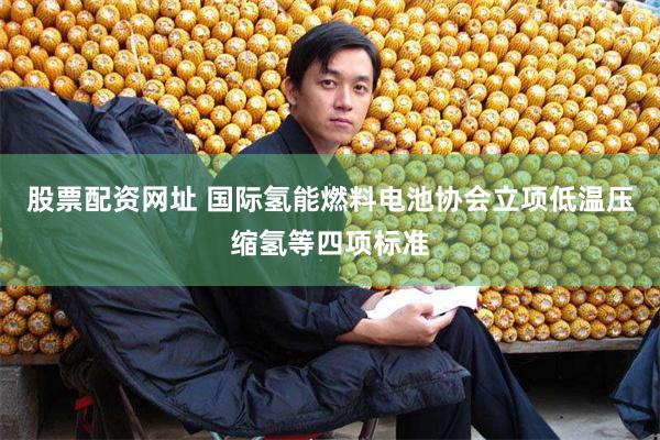 股票配资网址 国际氢能燃料电池协会立项低温压缩氢等四项标准