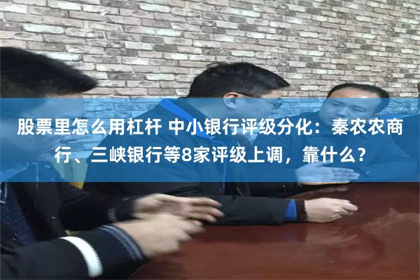 股票里怎么用杠杆 中小银行评级分化：秦农农商行、三峡银行等8家评级上调，靠什么？