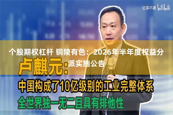 个股期权杠杆 铜陵有色：2026年半年度权益分派实施公告
